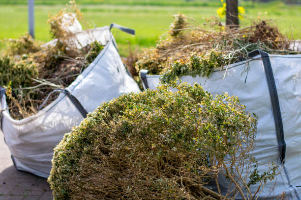 Best Local Junk Hauling  in Fellsburg, PA